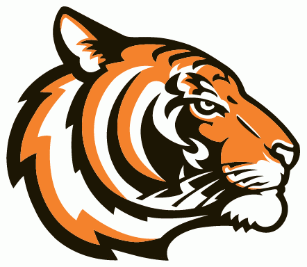 Princeton Tigers 2003-Pres Alternate Logo v2 diy DTF decal sticker